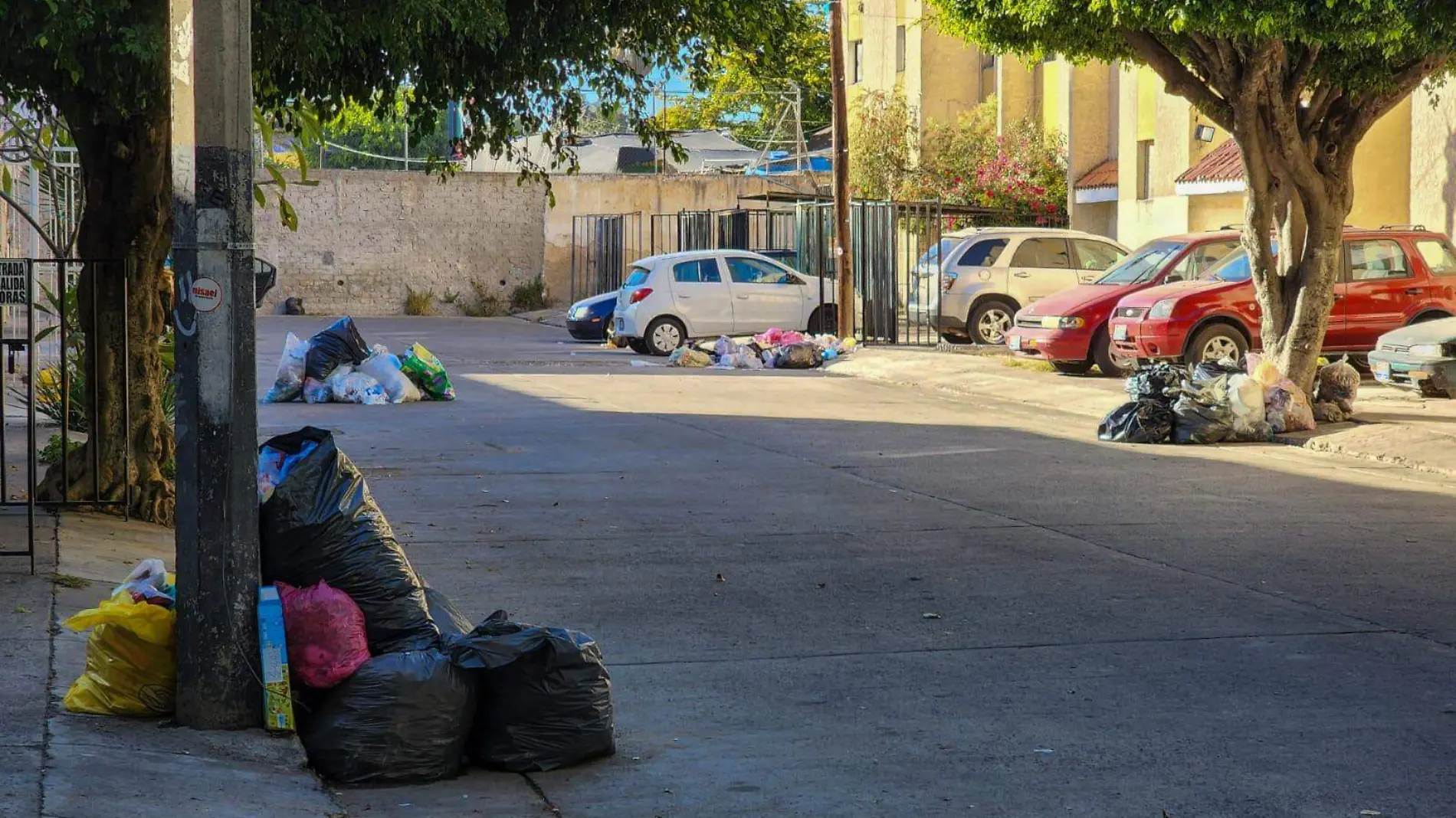 Basura encabezado